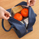 Bolsa Térmica Portátil para Lanches e Viagens